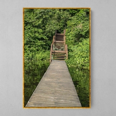 Quadro Decorativo Ponte da Natureza na Amazônia - loja online