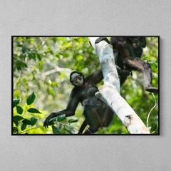 Quadro Decorativo Mamãe Macaco Aranha de Cara Branca