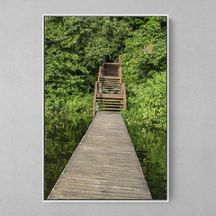 Quadro Decorativo Ponte da Natureza na Amazônia - comprar online