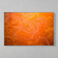 Imagem do Quadro Decorativo Backligth da Golden Hour na Amazonia