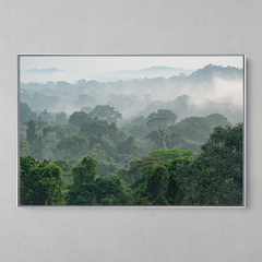 Imagem do Quadro Decorativo Parque Estadual do Cristalino, Floresta Amazônica