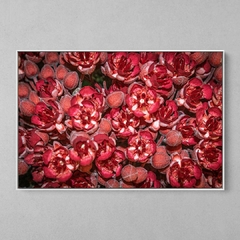 Quadro Decorativo Flores do Cacau - comprar online