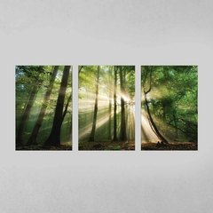 Quadro Decorativo Tríptico Floresta Verde Rios De Sol