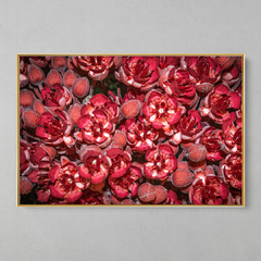 Quadro Decorativo Flores do Cacau - loja online