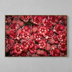 Quadro Decorativo Flores do Cacau na internet