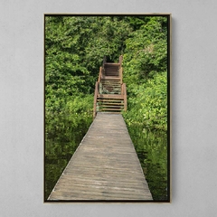 Quadro Decorativo Ponte da Natureza na Amazônia na internet