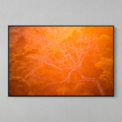 Quadro Decorativo Backligth da Golden Hour na Amazonia