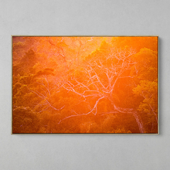 Quadro Decorativo Backligth da Golden Hour na Amazonia na internet