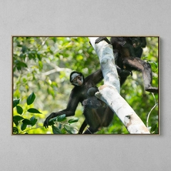 Quadro Decorativo Mamãe Macaco Aranha de Cara Branca na internet