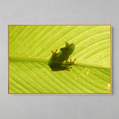 Quadro Decorativo Perereca Verde Inverse - loja online