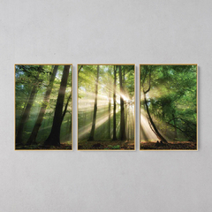 Quadro Decorativo Tríptico Floresta Verde Rios De Sol - loja online