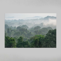 Quadro Decorativo Parque Estadual do Cristalino, Floresta Amazônica