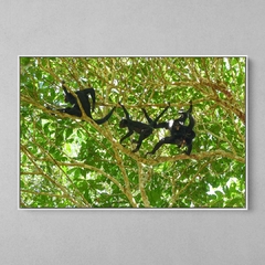 Quadro Decorativo Macacos Aranha da Amazônia - comprar online