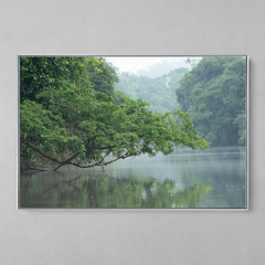 Imagem do Quadro Decorativo Reflexões, Floresta Amazônica