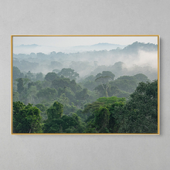 Quadro Decorativo Parque Estadual do Cristalino, Floresta Amazônica - loja online