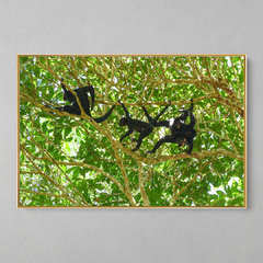 Quadro Decorativo Macacos Aranha da Amazônia - loja online