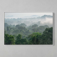 Quadro Decorativo Parque Estadual do Cristalino, Floresta Amazônica - comprar online