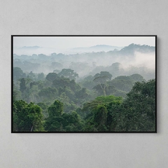 Quadro Decorativo Parque Estadual do Cristalino, Floresta Amazônica