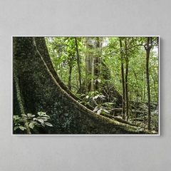 Quadro Decorativo Árvore Centenária - comprar online