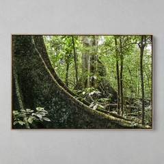 Quadro Decorativo Árvore Centenária na internet