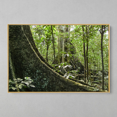 Quadro Decorativo Árvore Centenária - loja online