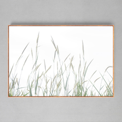 Quadro Decorativo Plantação - Ellquadros 