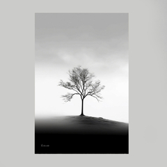 Quadro Decorativo The Tree - comprar online