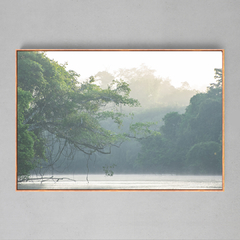 Quadro Decorativo Tranquila manhã, Rio Cristalino, Sul da Amazônia - Ellquadros 