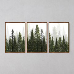 Quadros Decorativo Tríptico Floresta Verde - Ellquadros 