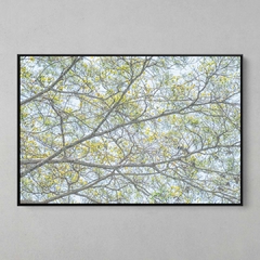 Quadro Decorativo Angelim de Saia