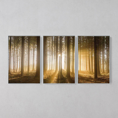 Imagem do Quadro Decorativo Tríptico Floresta Marrom Entardecer