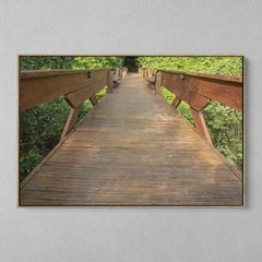 Quadro Decorativo Ponte para Natureza. Floresta Amazônica na internet