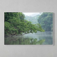 Quadro Decorativo Reflexões, Floresta Amazônica - comprar online