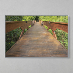 Imagem do Quadro Decorativo Ponte para Natureza. Floresta Amazônica