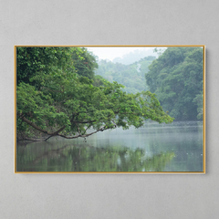 Quadro Decorativo Reflexões, Floresta Amazônica - loja online