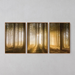 Quadro Decorativo Tríptico Floresta Marrom Entardecer - Ellquadros 