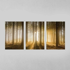 Quadro Decorativo Tríptico Floresta Marrom Entardecer