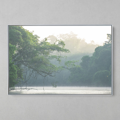 Imagem do Quadro Decorativo Tranquila manhã, Rio Cristalino, Sul da Amazônia