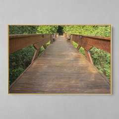 Quadro Decorativo Ponte para Natureza. Floresta Amazônica - loja online