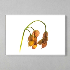 Quadro Decorativo Planta Rasteira - comprar online