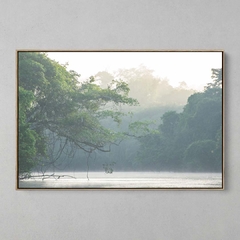 Quadro Decorativo Tranquila manhã, Rio Cristalino, Sul da Amazônia na internet