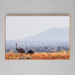 Quadro Decorativo Casal de Emas e a Serra do Roncador, MT - Ellquadros 