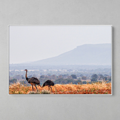 Quadro Decorativo Casal de Emas e a Serra do Roncador, MT - comprar online