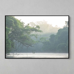 Quadro Decorativo Tranquila manhã, Rio Cristalino, Sul da Amazônia