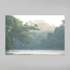 Quadro Decorativo Tranquila manhã, Rio Cristalino, Sul da Amazônia