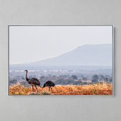 Imagem do Quadro Decorativo Casal de Emas e a Serra do Roncador, MT