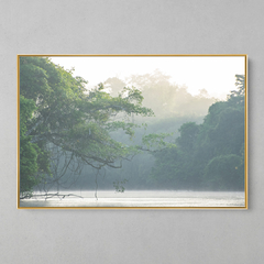 Quadro Decorativo Tranquila manhã, Rio Cristalino, Sul da Amazônia - loja online