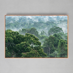 Quadro Decorativo Evaporação das Árvores na Floresta Amazônica - Ellquadros 