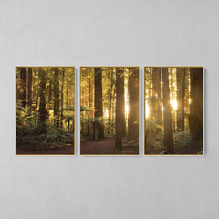 Quadro Decorativo Tríptico Alta Floresta - loja online