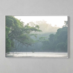 Quadro Decorativo Tranquila manhã, Rio Cristalino, Sul da Amazônia - comprar online